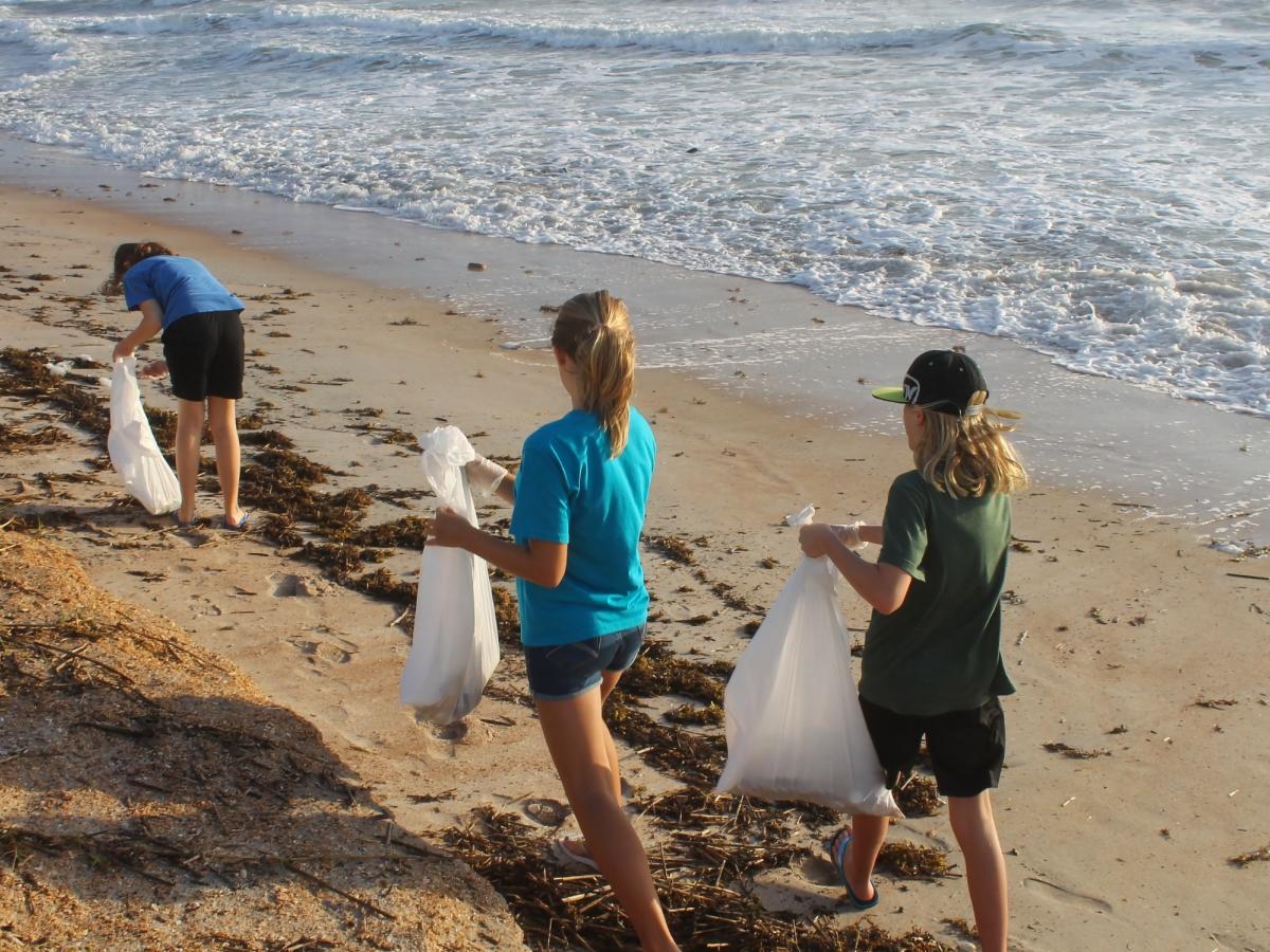 Beach Clean Up